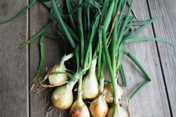 Кракен торговая