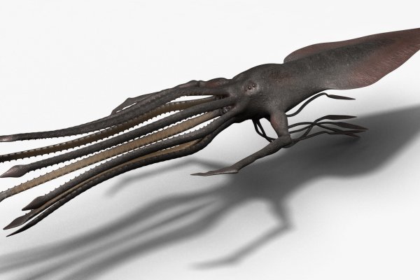 Тор кракен vk2 top