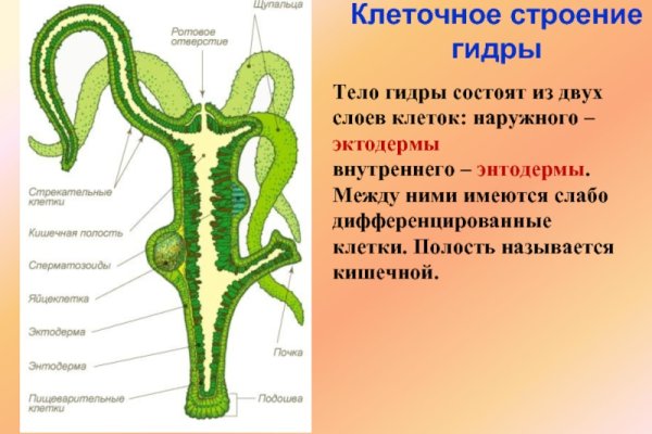 Кракен бошки