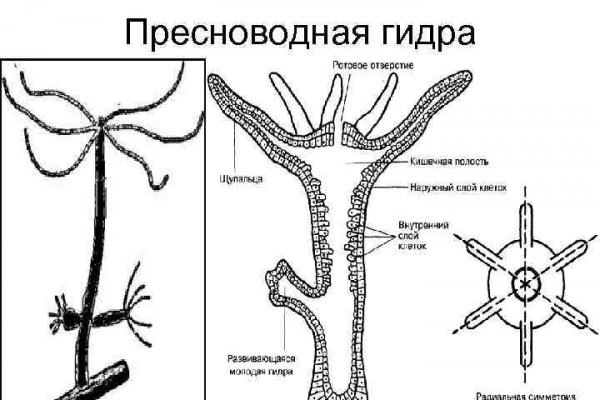 Как попасть на сайт кракен