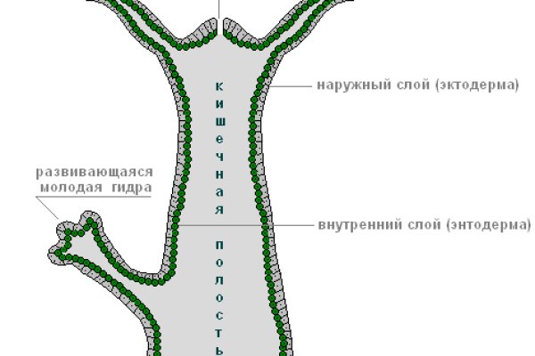 Кракен даркнет krawebes